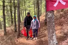 森林防火视频丨防火护林 文明祭祀图片