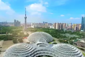 在中国第五大岛，看绿色钢铁如何炼成｜高质量发展看广东图片