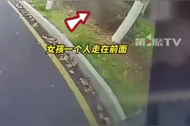 12岁女孩被猥琐男尾随吓得浑身发抖，热心司机拿撬棍保护图片