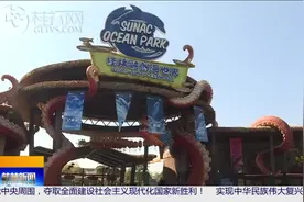 桂林融创国际旅游度假区首届“奇趣海豚季”科普研学系列活动启动图片