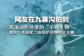 网友在九寨沟拍到“不明生物”，景区回应图片