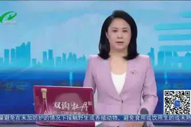 下雨天洒水车为什么还要进行作业？城管：事半功倍 效率更高图片