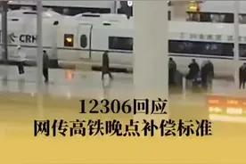 12306回应网传高铁晚点补偿标准：目前没有相关补偿措施图片