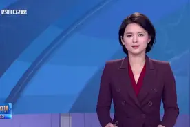 王晓晖 黄强看望四川代表团驻地媒体记者视频封面