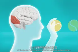 瞠目结舌：为什么男性反应速度更快，这个实验为我们解答视频封面