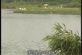 古气候探秘：考古重大新发现之消失的蚌视频封面