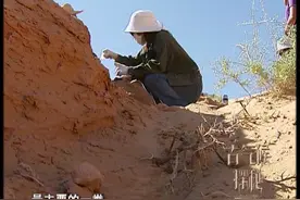 古气候探秘：超罕见恐龙化石初发掘视频封面