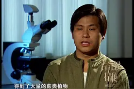 古气候探秘：成都的空气适合植物的生长，专家发现丰富的植物种子视频封面