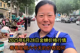 山东省临沭金蝉一条街，今日价格是多少？一条街都是卖的没人买了视频封面