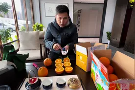 测评东方甄选和与辉同行的脐橙，差距不小啊 #秭归脐橙