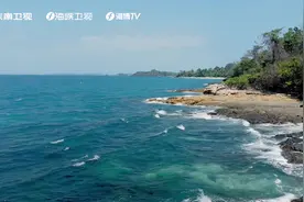 #24部中外合拍纪录片在福建集中展示 3月14日，第二届视频封面