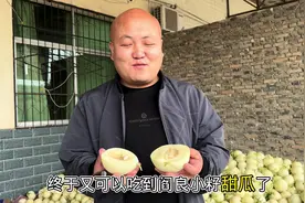 中老夫妻连续卖四年的阎良小籽甜瓜又开始了，软糯香甜皮薄肉厚视频封面