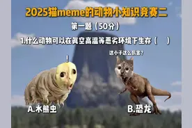 “猫meme的动物知识竞赛二”#meme #猫咪表情包 #搞笑视频封面