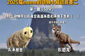 “猫meme的动物知识竞赛二”#meme #猫咪表情包 #搞笑视频封面