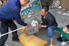 浙江打工带回来的绳子，没想到还有大用处，这不现在就赚大发了