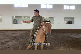 马跑起来拉不住怎么办（一）#如何学习骑马 #原创作品