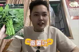 今天跟大家分享关于广西平南福建话关于蔬菜名称的几种叫法视频封面