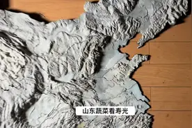 各省蔬菜种植排行 地形图直观我国蔬菜种植区域分布 #蔬菜 #山东视频封面