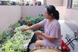 家里豆角太多吃不完，晒成干豆角储存，炒菜、炖肉、蒸包子都好吃