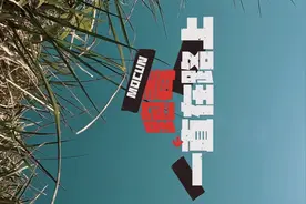 很多新手不了解跑毒是啥意思！看明白了，第一视角带你了解跑毒！视频封面