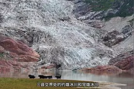 这是一个及其容易到达的冰川，但又是一个没多少游客的冰川