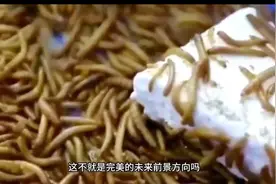 塑料就不能靠吃来分解吗？#环保#塑料#脑洞#虫子#好奇君视频封面