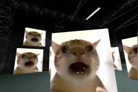 #如果我是dj你会爱我吗 #广西大师 #零帧起手 #gmod  小猫