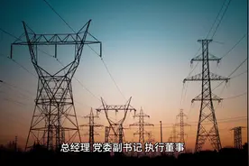 赵永志任中国西电党委书记、董事长 #国家电网视频封面