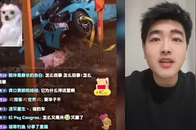 小爱：你没事吧😧！车主：点点关注啊兄弟们！🤣
#小米汽车 #小米视频封面