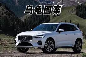 仪表盘出现乌龟晒太阳你知道是什么含义吗？视频封面