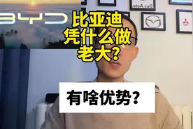 曾经不被看好的比亚迪！凭什么“遥遥领先”？#比亚迪视频封面