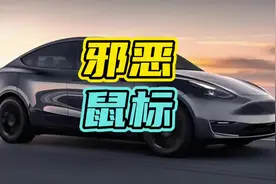 在路上千万不要惹邪恶大鼠标！#邪恶大鼠标 #特斯拉 #开车视频封面