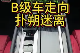 为啥车评人所推荐的B级车都卖不动？是为了帮车主避坑吗？#红旗H5
