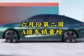 #懂车帝销量榜 六月份第二周燃油A级车销量榜 #汽车销量视频封面