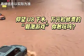 仰望 U8 下水，万元检修费的 “刺激游戏” 你敢玩吗？视频封面