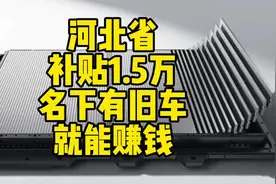 河北购车补贴是给你薅羊毛的机会啊！#报废补贴视频封面