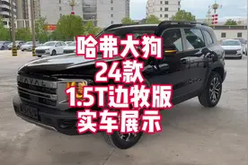 哈弗大狗24款1.5T边牧版实车展示 哈弗的诚意加配来袭视频封面