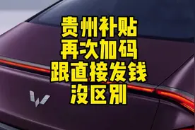 贵州太猛了，有二手车的抓紧想办法领补贴。视频封面