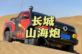 一句长城炮给长城省了一个亿的广告费#长城炮 #皮卡视频封面