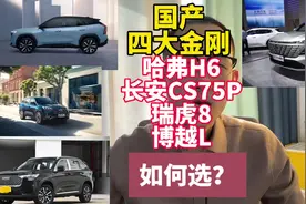 国产四大金刚！瑞虎8、博越L、长安CS75p、哈弗H6，该怎么选？视频封面