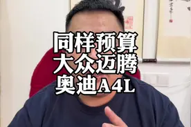 预算20万，家用轿车怎么选？#大众迈腾 #奥迪A4L #买车那点事视频封面