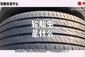 轮胎虫是什么 #轮胎虫是什么视频封面