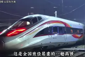 运输高级牛马打工人的专列视频封面