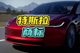 小伙以一己之力让特斯拉改名为拓速乐！#特斯拉 #马斯克 #占宝生视频封面