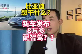 比亚迪想干什么？不到10万的车子也有智驾！海豹05DM发布#比亚迪视频封面