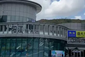 小米车主停阳江服务区，招滑胎