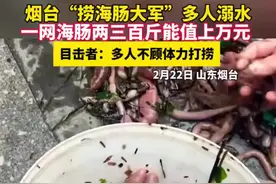 烟台“捞海肠大军”多人溺水，一网海肠三百斤能值上万元，目击者：多人不顾体力打捞图片
