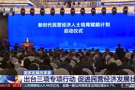 国家发展改革委发布三项专项行动 促进民营经济发展壮大图片