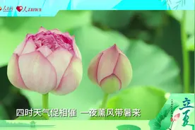 立夏养生，尝“三鲜”忌“三事”图片