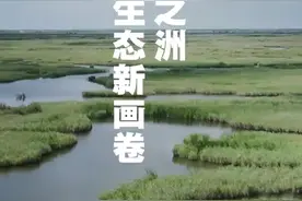 跟着总书记看中国 |大河之洲：绘就生态新画卷图片
